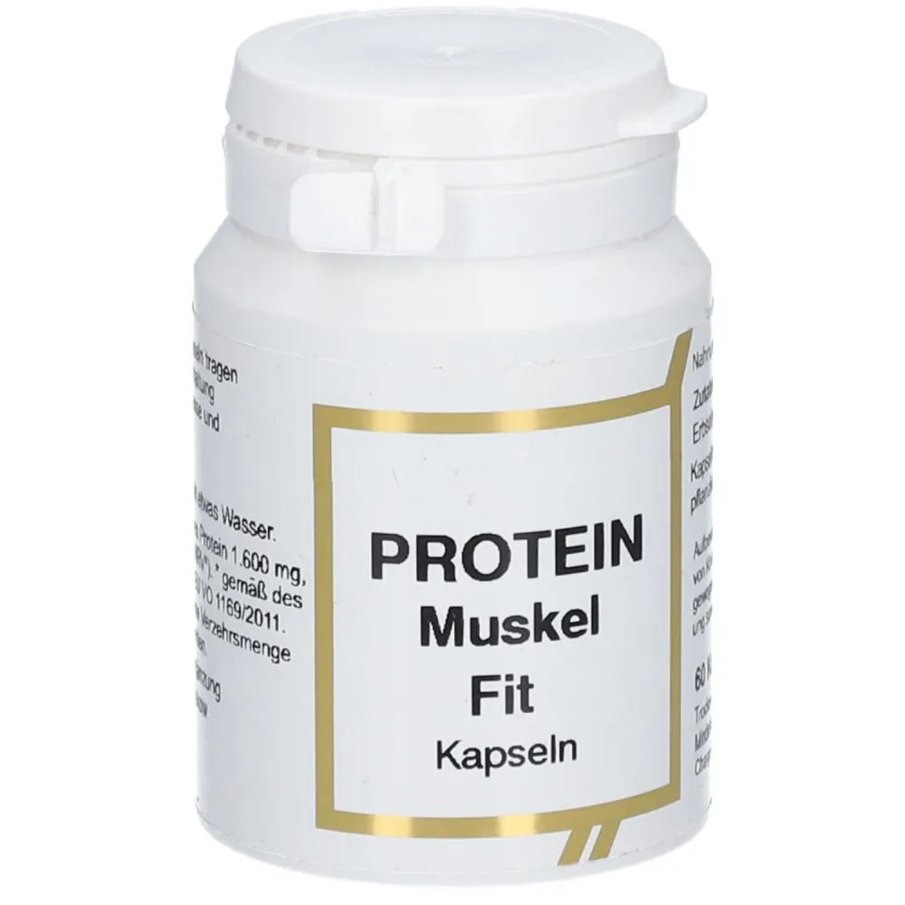 Protein Muskel Fit