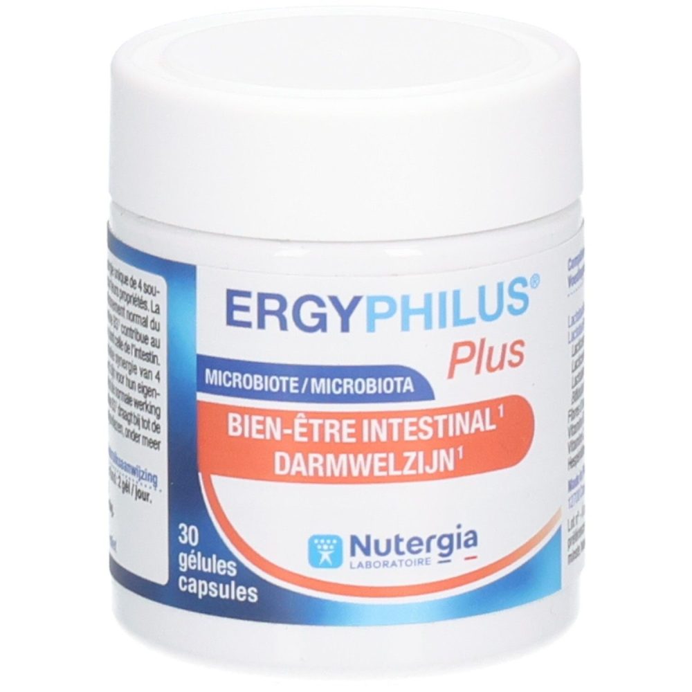 Ergyphilus Plus