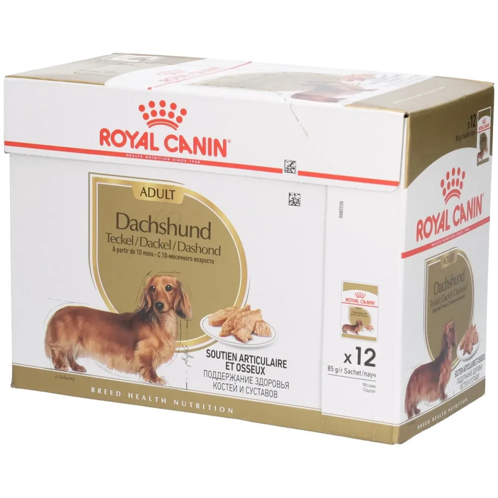 Royal Canin Dachshund Mousse - 12 x 85 g