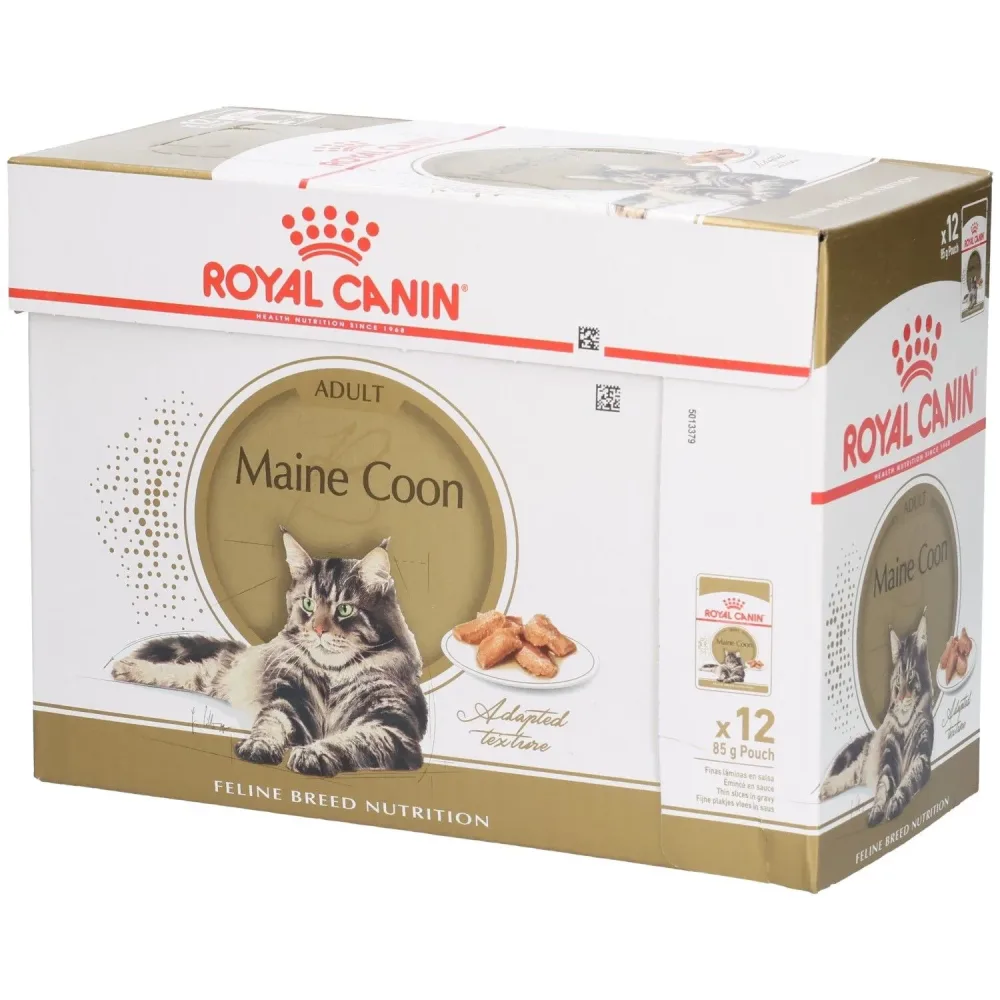 Royal Canin Maine Coon Adult in Sosse - Sparpaket: 24 x 85 g