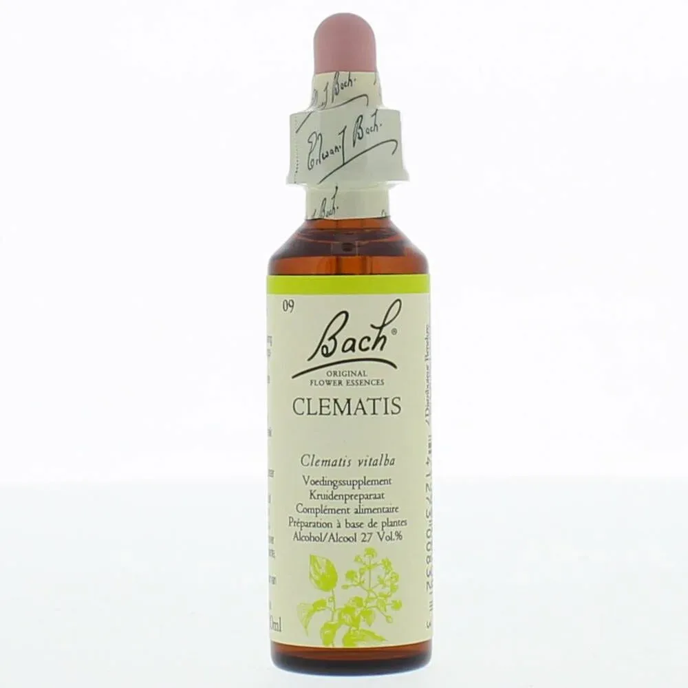 Bach®-Blüte Clematis (Weiße Waldrebe)