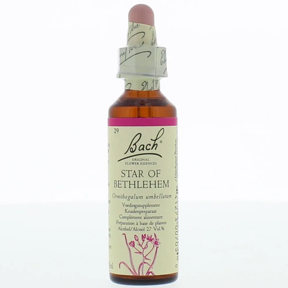 Bach®-Blüte Star OF Bethlehem (Doldiger Milchstern)