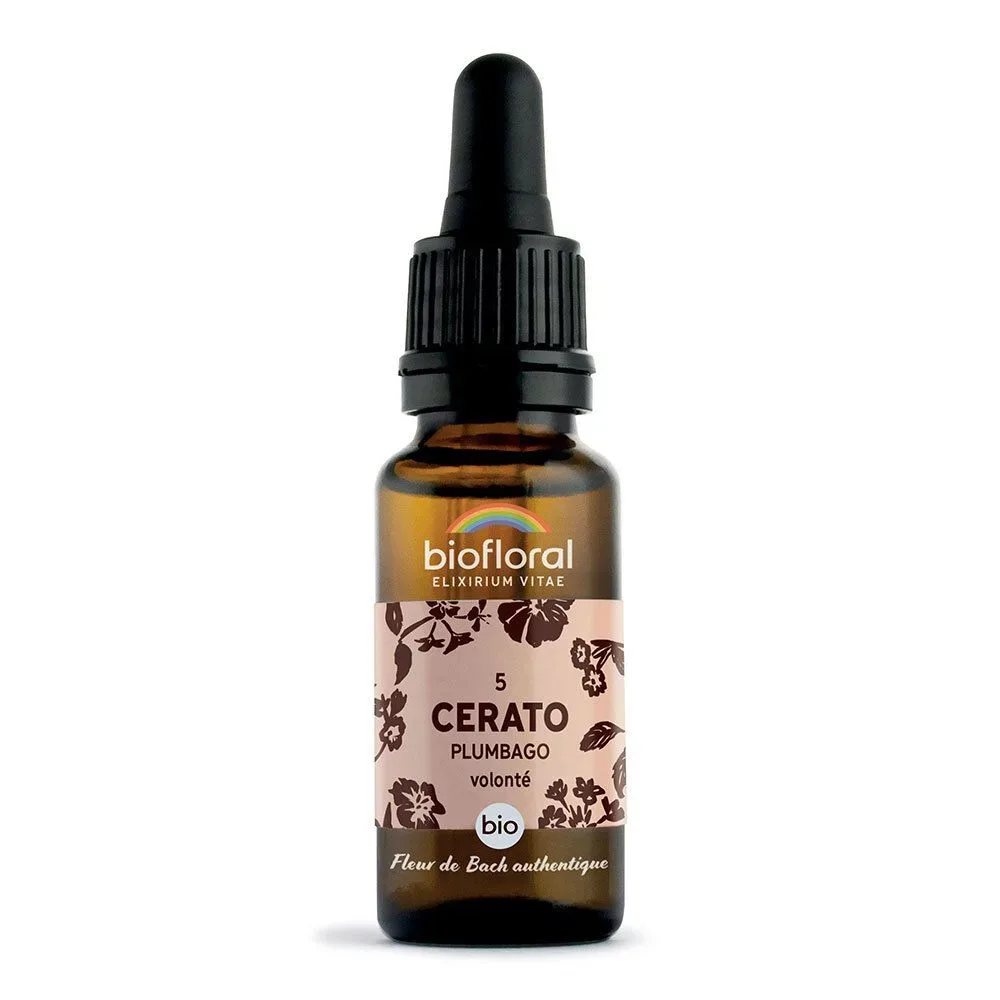 Biofloral 05 - Cerato - Bleiwurz -