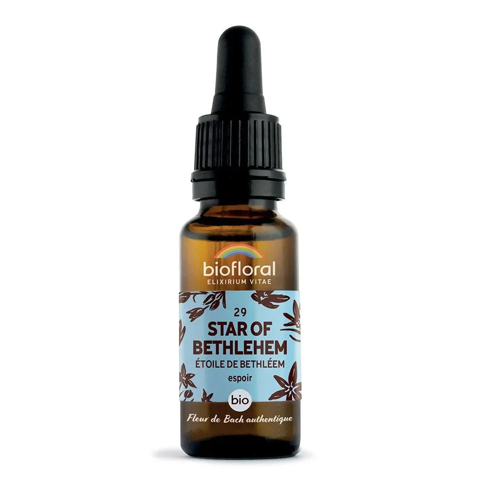 Biofloral 29 - Stern von Bethlehem - Etoile de Bethléem - 20 ml