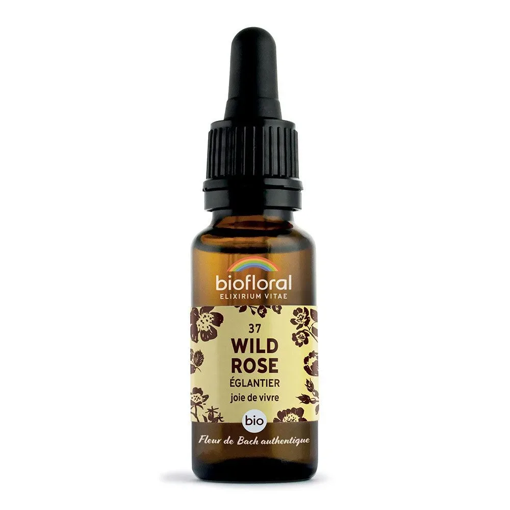 Biofloral Wilde Rose - Hagebutte