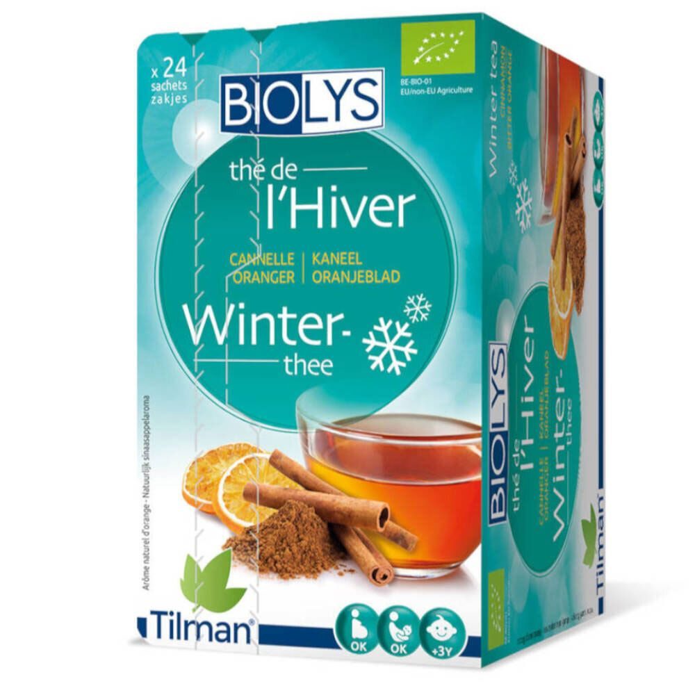 Biolys Wintertee Zimt Bitterorange