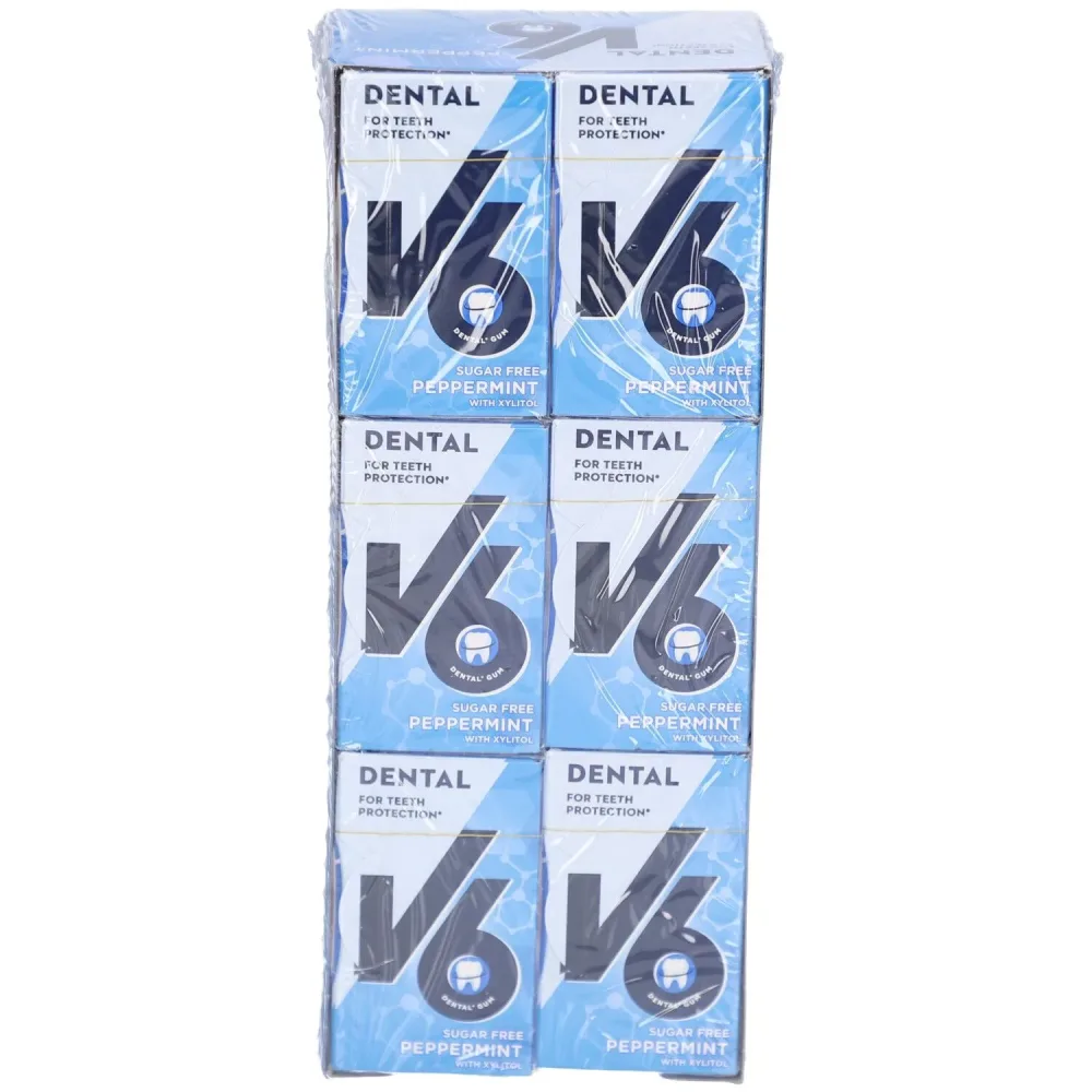 V6 Dental Care Kaugummi Pfefferminze (24x24g)