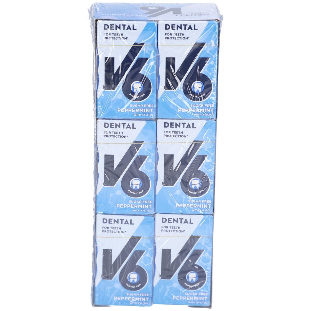 V6 Dental Care Kaugummi Pfefferminze (24x24g)