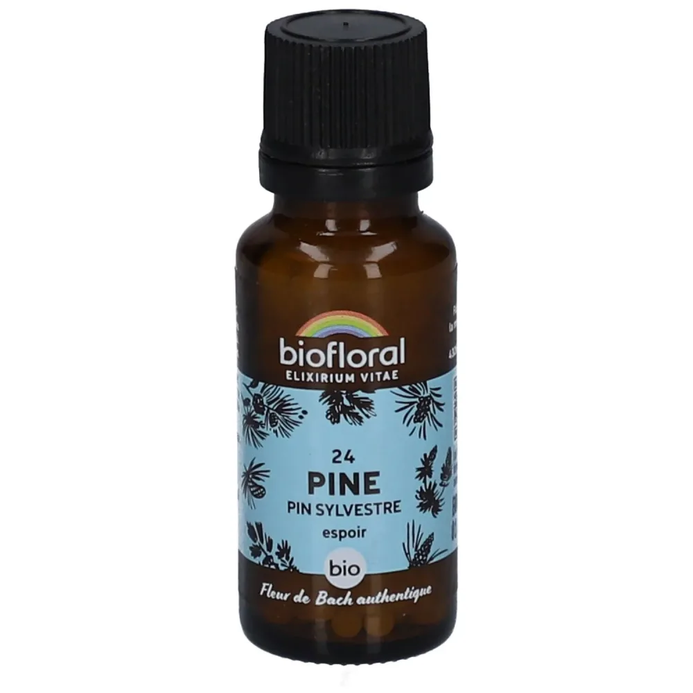 Biofloral 24 Kiefer - Pin Sylvestre