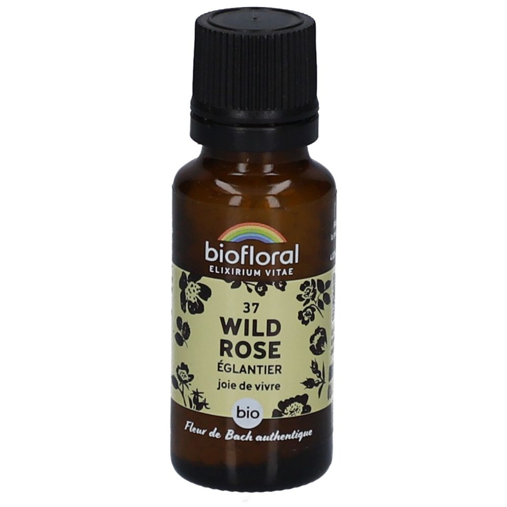 Biofloral 37 Wildrose - Hagebutte