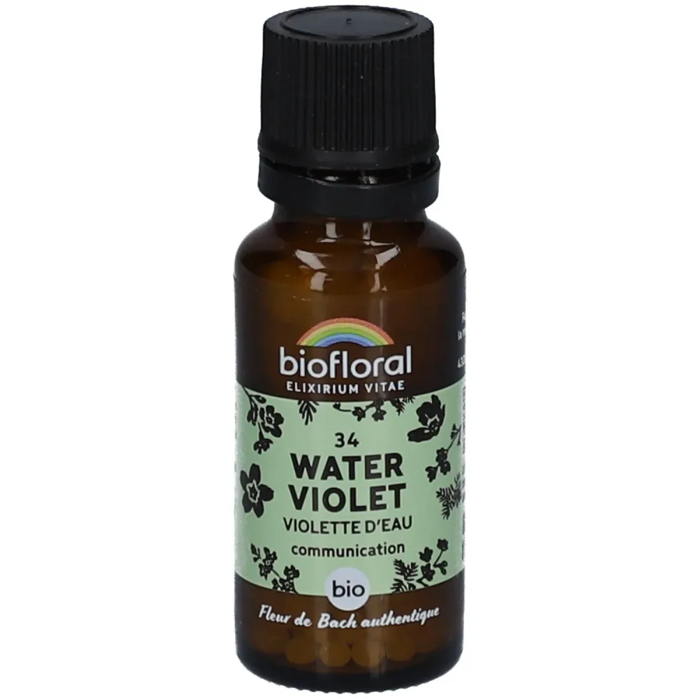 Biofloral 34 Water Violet - Wasser-Veilchen