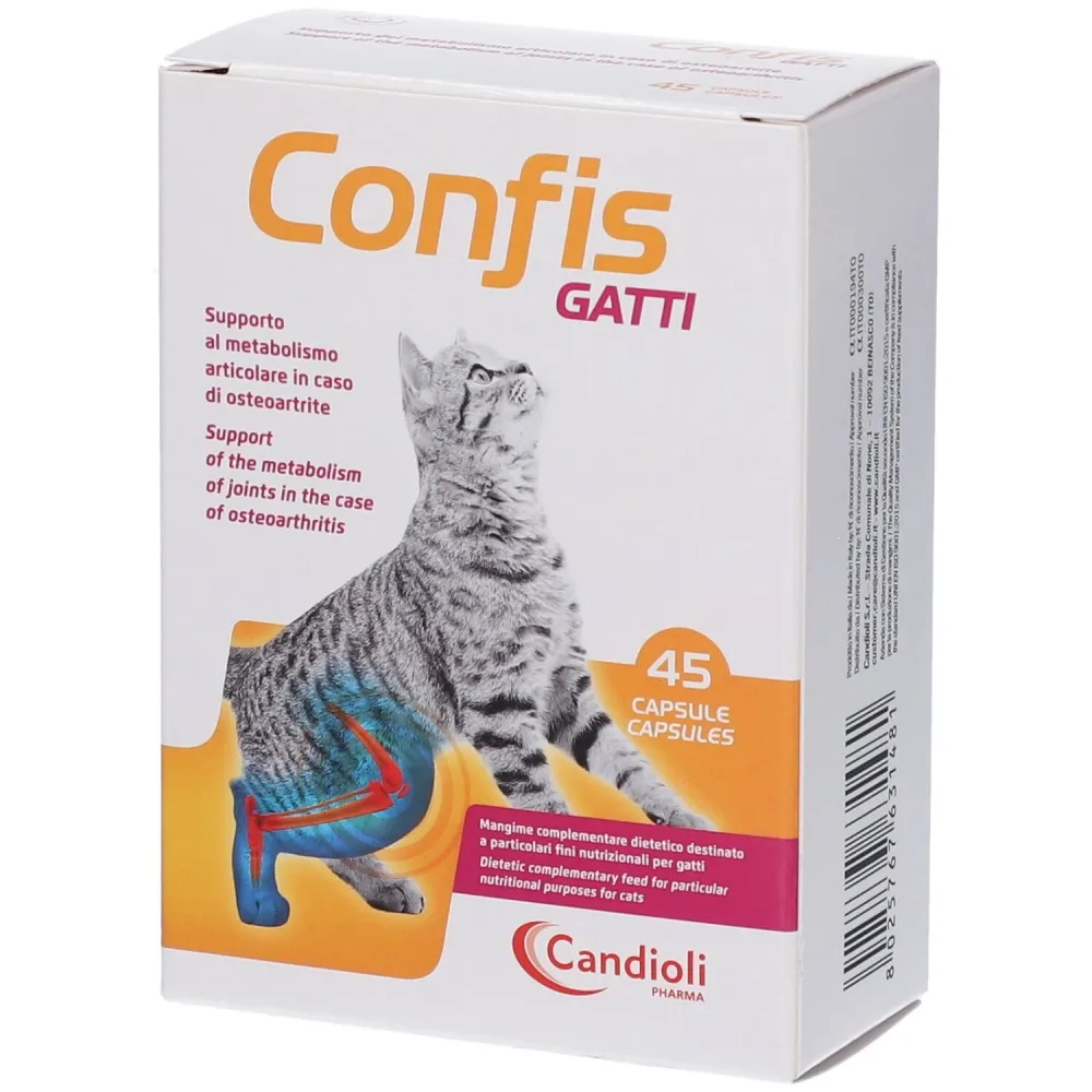 Konfis-Katzen 45Cps