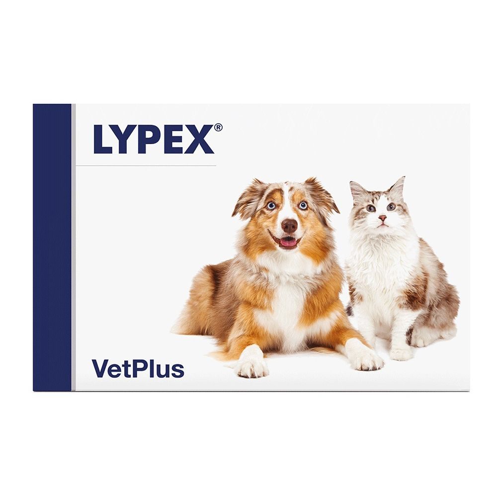 Vetplus Lypex Kapseln für Hunde und Katzen Unterstützung der Bauchspeicheldrüse