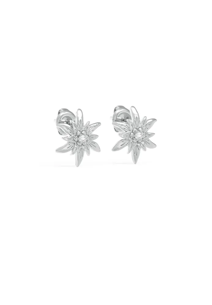 Edelweiss Ohrringe JS.0235.A