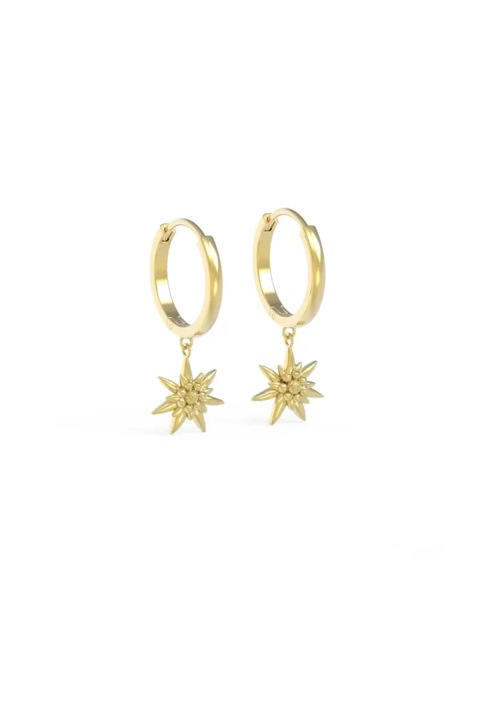 Edelweiss Ohrringe JS.0219.A
