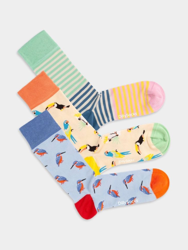 - Damensocken Kingfisher Paradise (3er Pack) Bunte Lustige Socken | Eisvogel Vogel Geschenk Bio-Baumwolle | 36-40 Mehrfarbig