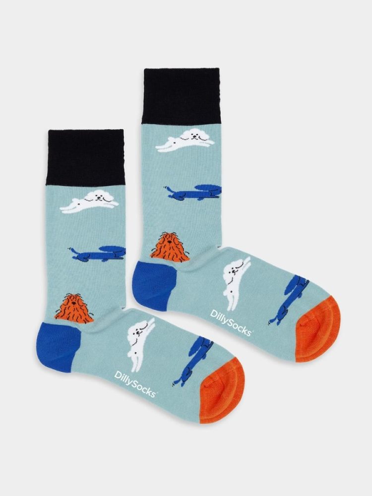 - Damensocken Pawesome Crew Bunte Lustige Socken | Tier Geschenk Bio-Baumwolle | 36-40 Blau Mehrfarbig