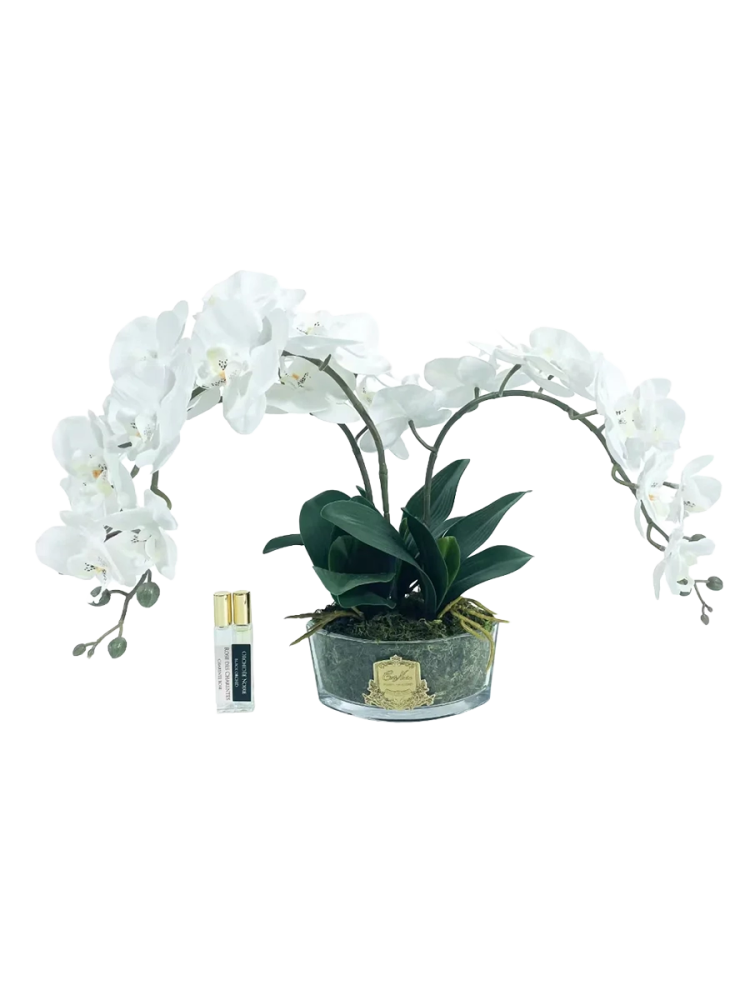 Luxuriöser Raumduft „Luxury Oval Orchid Bouquet“ Côte Noire