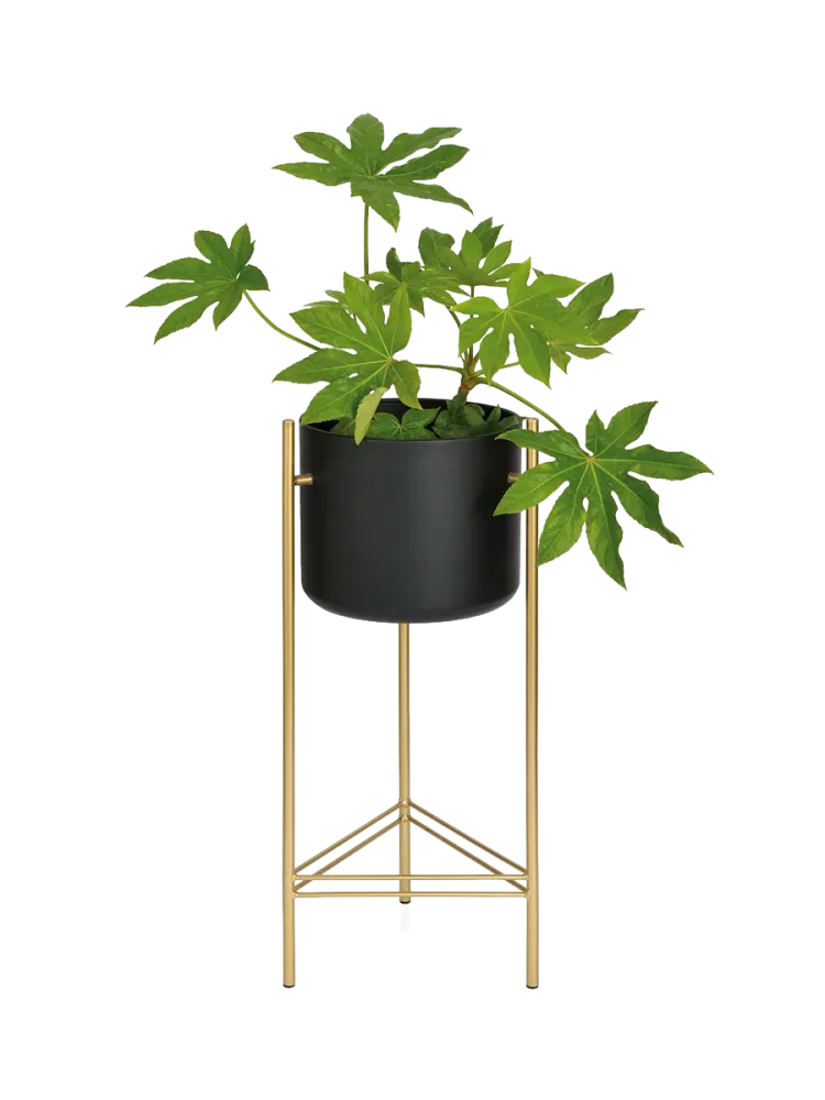 Design Blumentopf „Glory“ Schwarz, Gold Andrea House