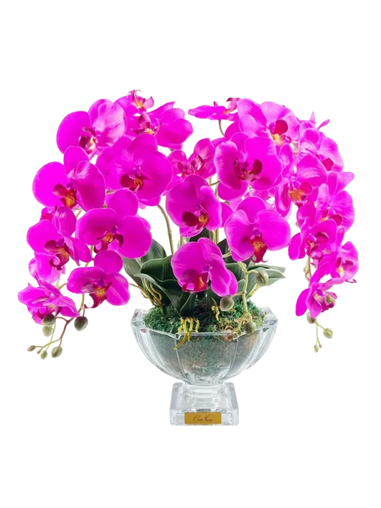 Luxuriöser Raumduft „Luxury Orchid Centerpiece Bouquet“ Côte Noire