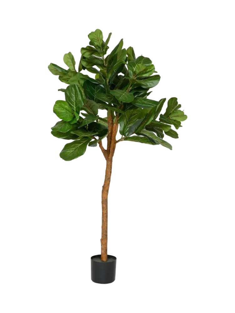 Lebensechte Kunstpflanze „Ficus Lyrata Tree“, verschiedene Grössen Baq Design