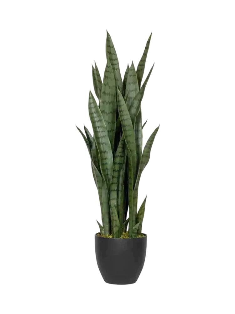 Lebensechte Kunstpflanze „Sansevieria“ Baq Design
