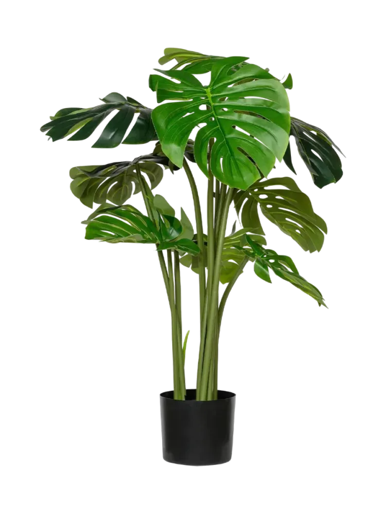 Lebensechte Kunstpflanze „Monstera XL“, Höhe 150 cm Baq Design