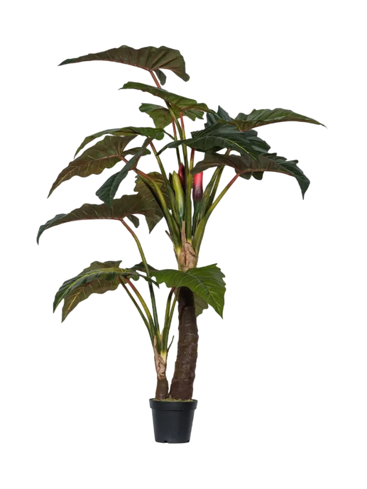 Lebensechte XL Kunstpflanze „Alocasia verzweigt“, Ø 140 x 220 cm Baq Design