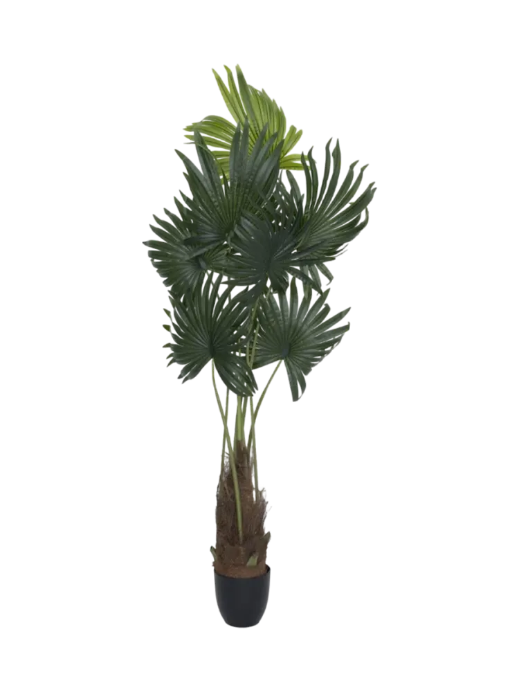 Lebensechte Kunstpflanze „Palm Tree Tuft“, verschiedene Grössen Baq Design