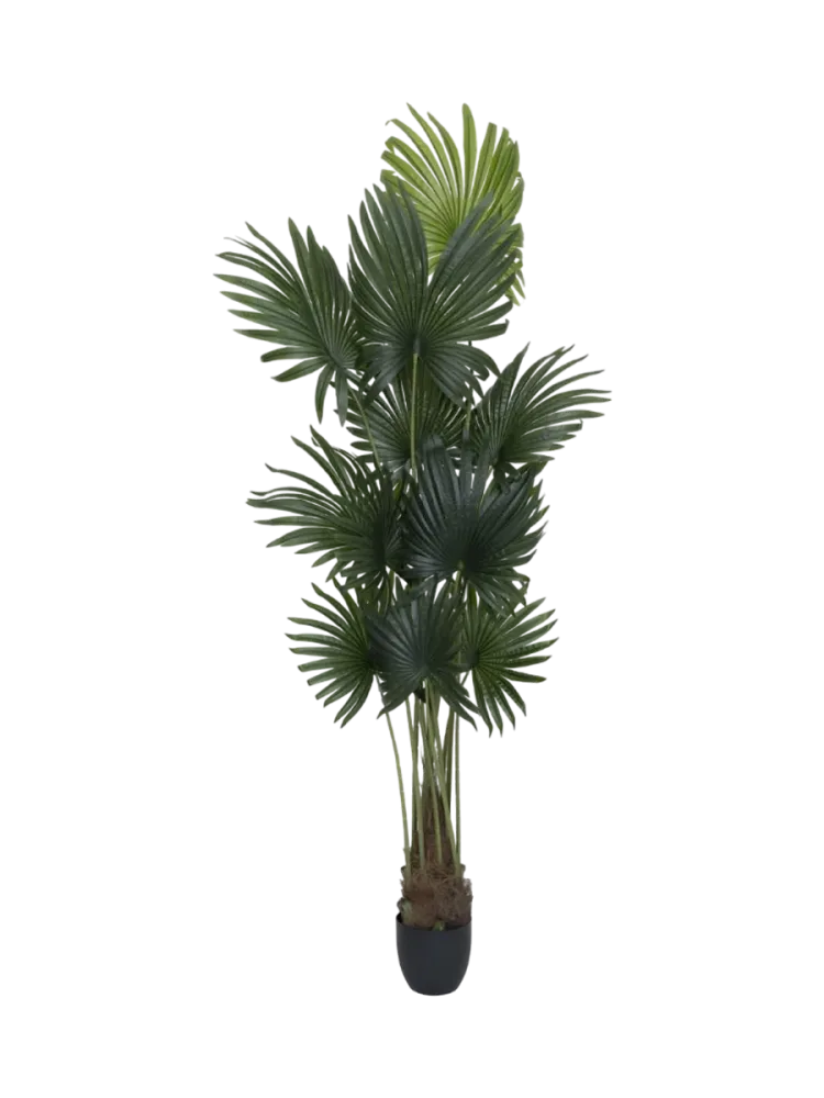 Lebensechte Kunstpflanze „Palm Tree Tuft“, verschiedene Grössen Baq Design