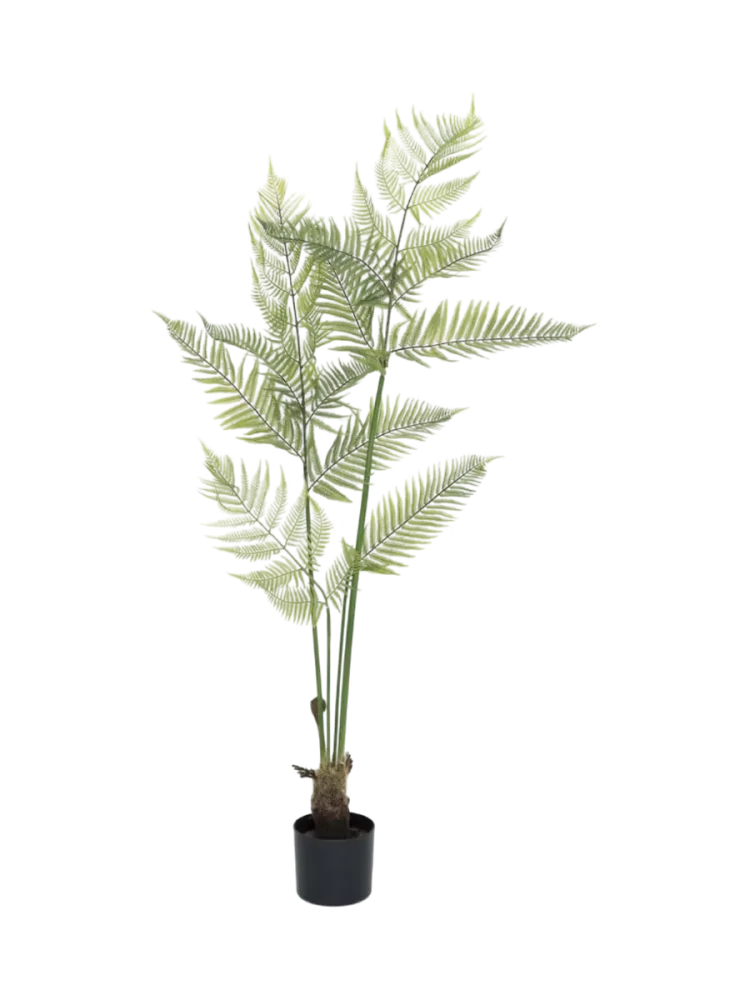 Lebensechte Kunstpflanze „Fern“, verschiedene Grössen Baq Design