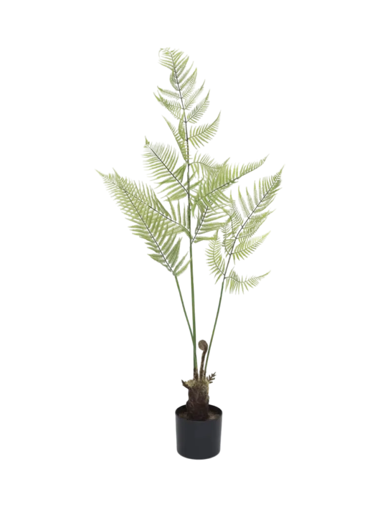 Lebensechte Kunstpflanze „Fern“, verschiedene Grössen Baq Design