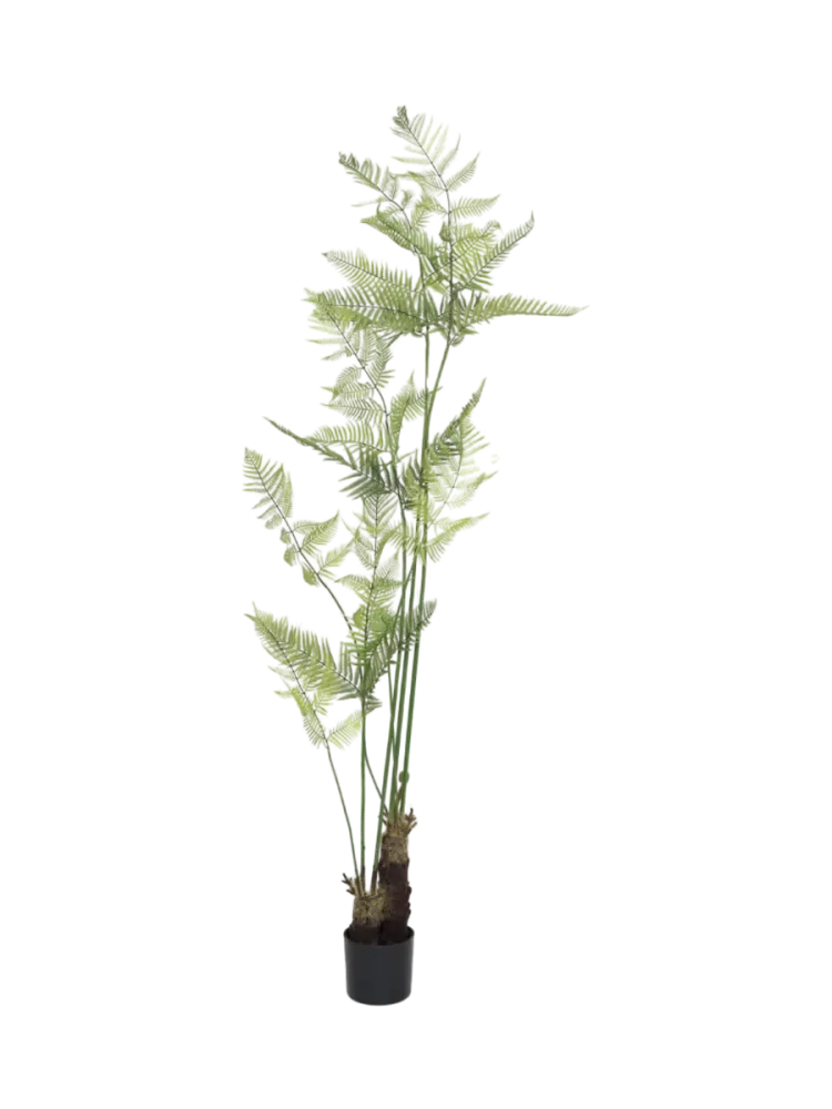 Lebensechte Kunstpflanze „Fern“, verschiedene Grössen Baq Design