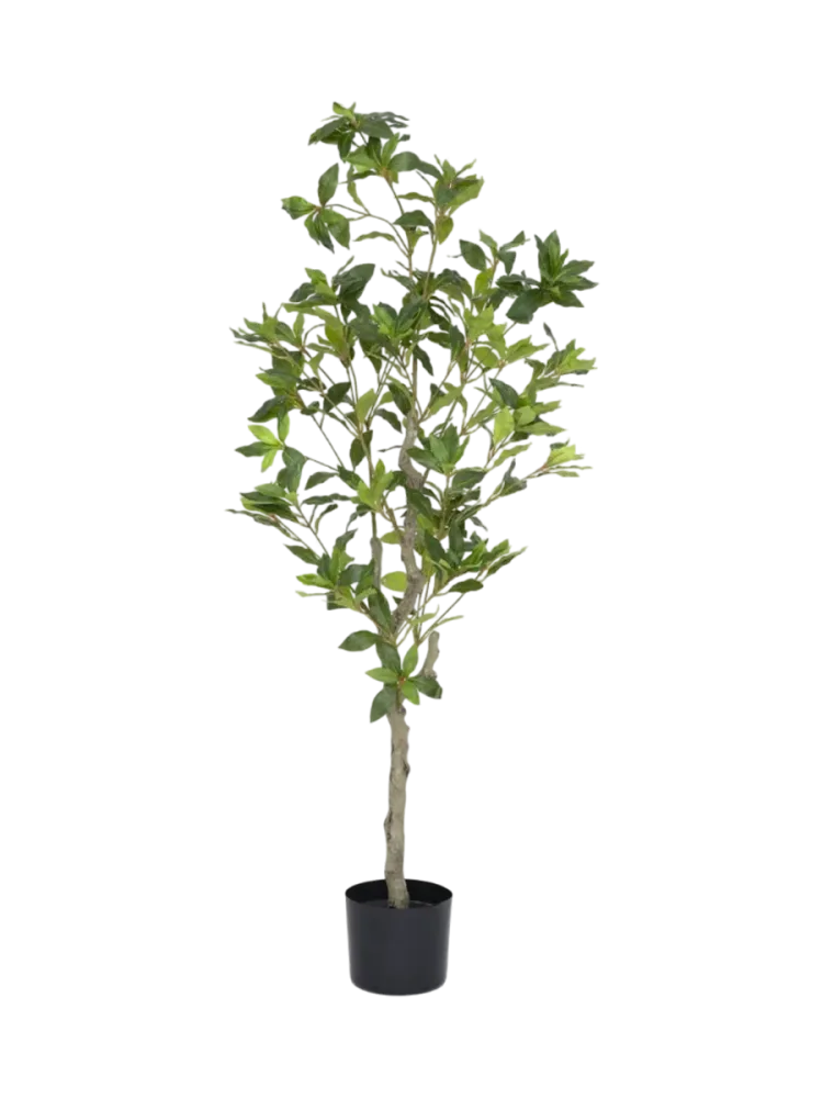 Lebensechte Kunstpflanze „Pieris“, verschiedene Grössen Baq Design