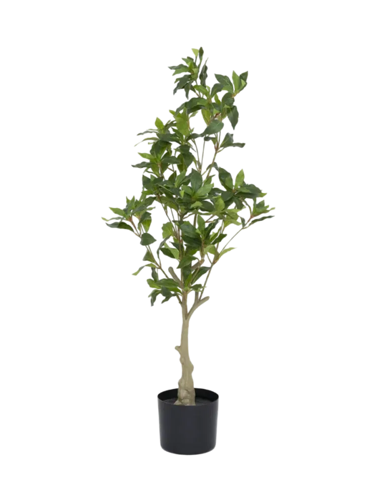 Lebensechte Kunstpflanze „Pieris“, verschiedene Grössen Baq Design