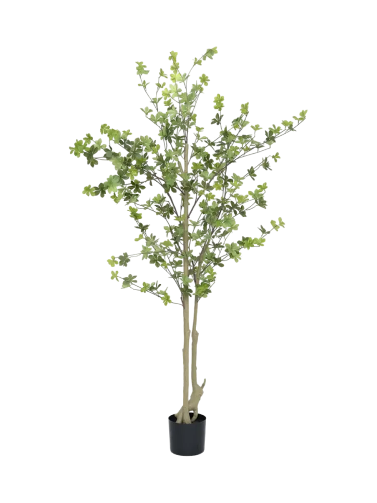 Lebensechte Kunstpflanze „Enkianthus perulatus“, Höhe 180 cm Baq Design