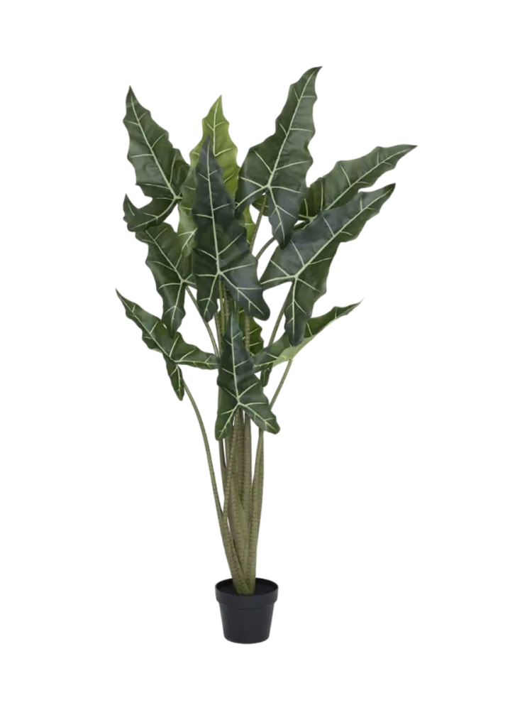 Lebensechte XL Kunstpflanze „Alocasia Tara“, verschiedene Grössen Baq Design