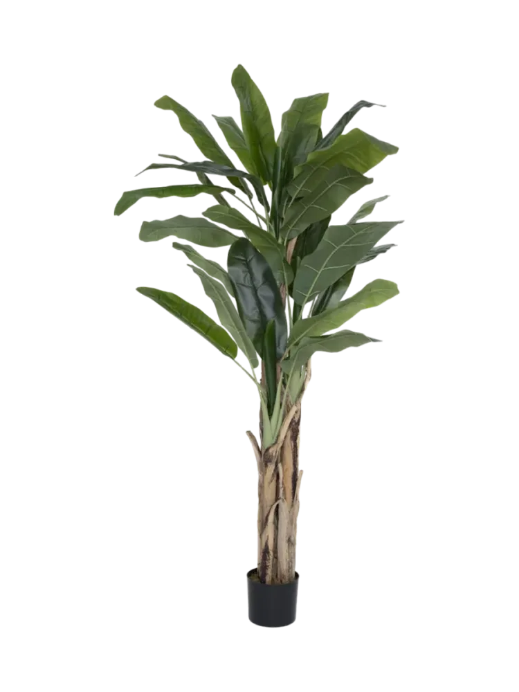 Lebensechte Kunstpflanze „Banana Tree“, verschiedene Grössen Baq Design