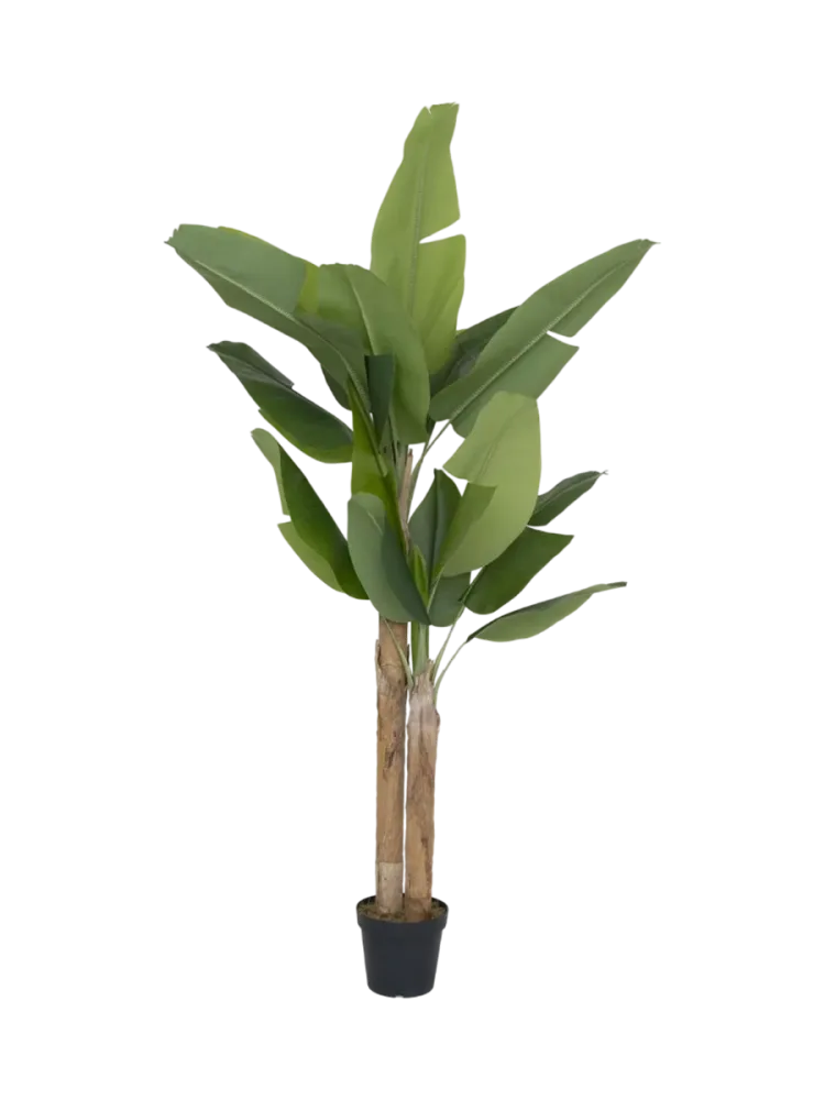 Lebensechte Kunstpflanze „Banana Tree“, verschiedene Grössen Baq Design