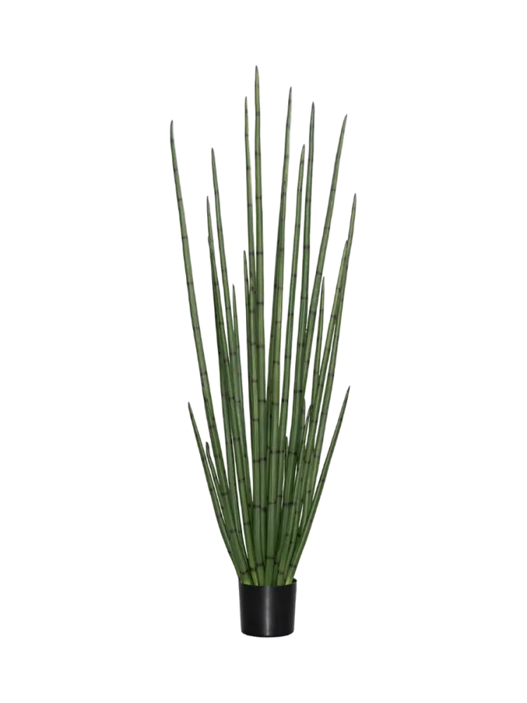 Lebensechte Kunstpflanze „Sansevieria Cylindrica“, Ø 50 x 180 cm Baq Design