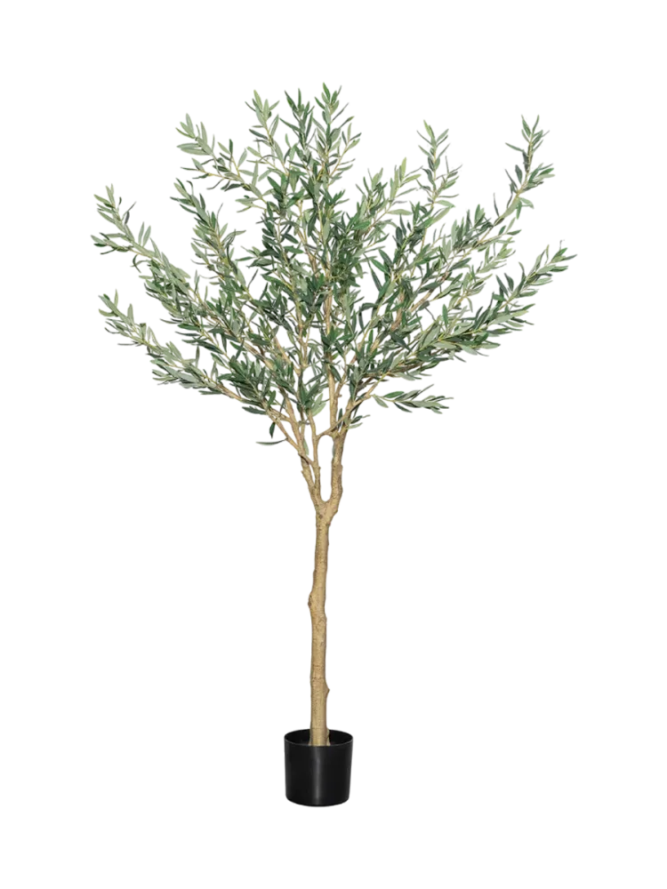 Lebensechte Kunstpflanze „Olivenbaum Europaea Tree“ Ø 55 x 180 cm Baq Design