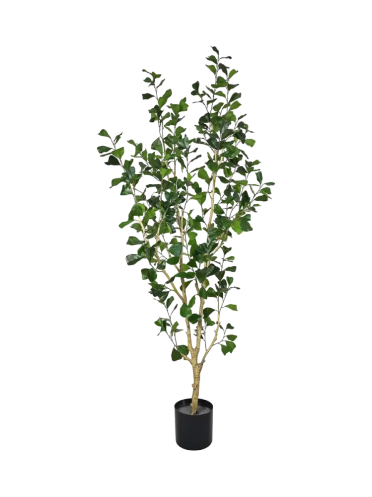 Lebensechte Kunstpflanze „Ficus Triangularis Tree“ Ø 45 x 180 cm Baq Design