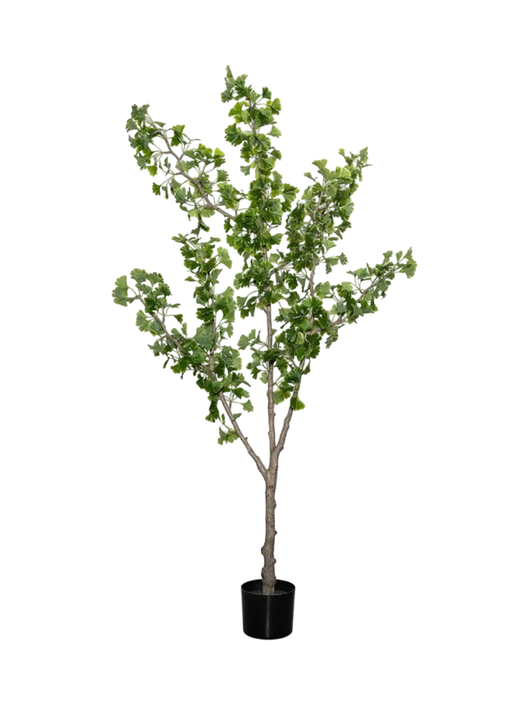 Lebensechte Kunstpflanze „Ginko Biloba Tree L“, Ø 40 x 180 cm Baq Design
