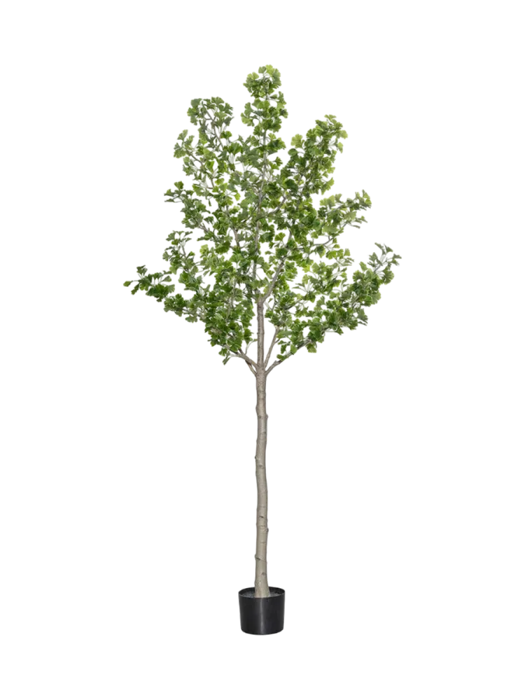 Lebensechte Kunstpflanze „Ginko Biloba Tree XL“, Ø 50 x 270 cm Baq Design