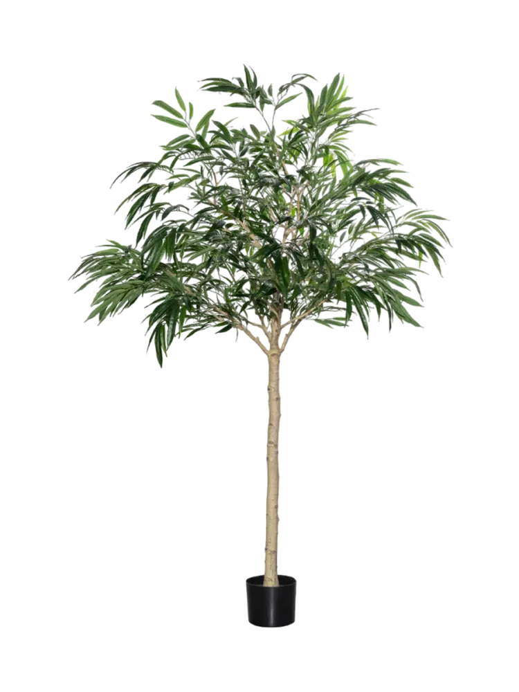 Lebensechte Kunstpflanze „Ficus Aldi Tree XL“, verschiedene Grössen Baq Design