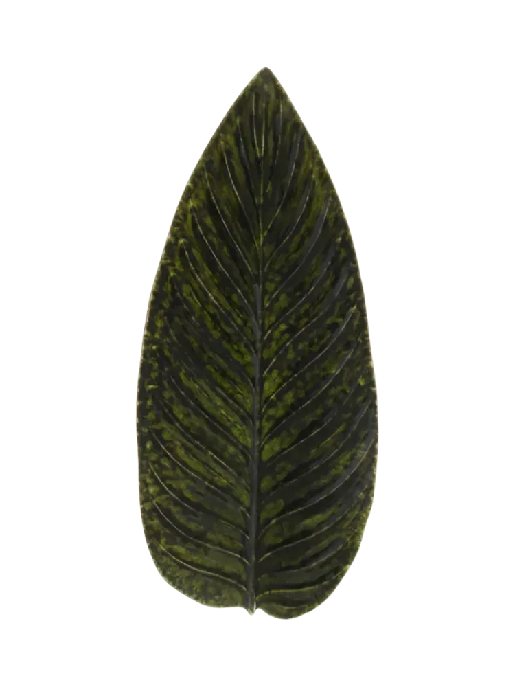 Handgefertigte Servierplatte „Riviera Strelizia leaf“ Costa Nova
