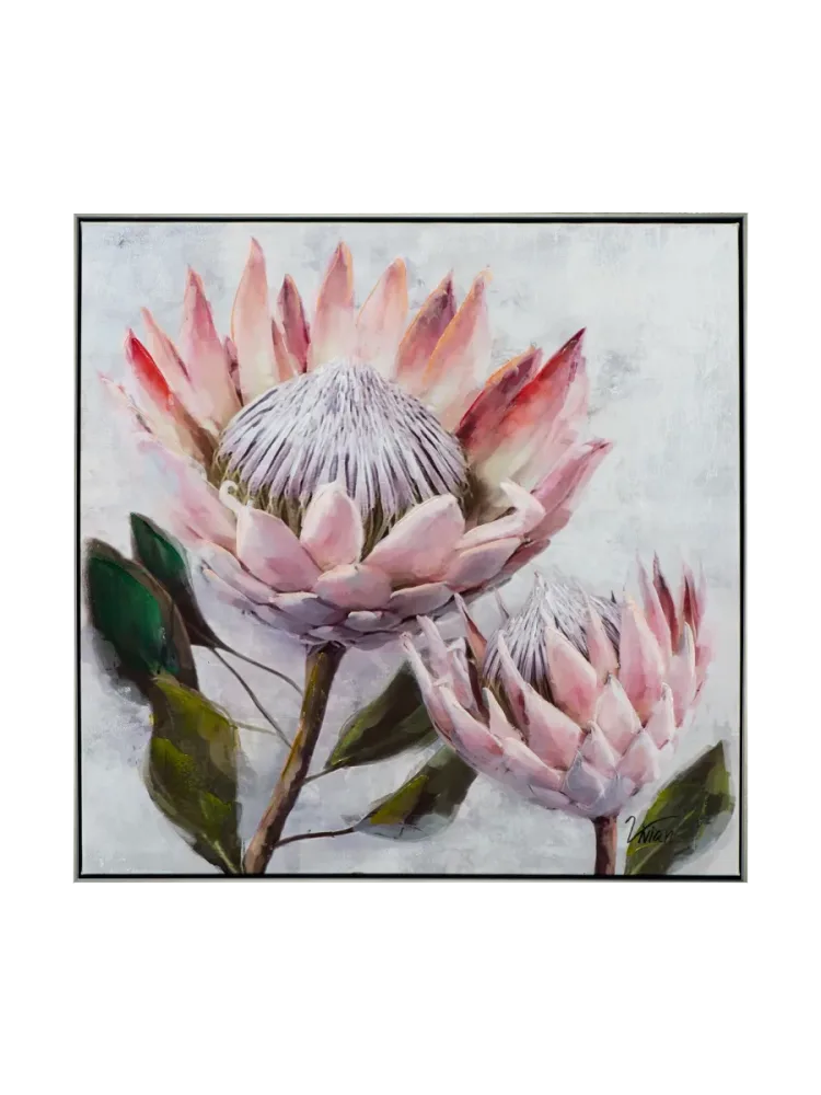 image LAND Bild mit Rahmen Hübsche Protea 1  | Schubiger Möbel