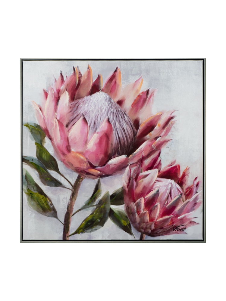 image LAND Bild mit Rahmen Hübsche Protea 2  | Schubiger Möbel