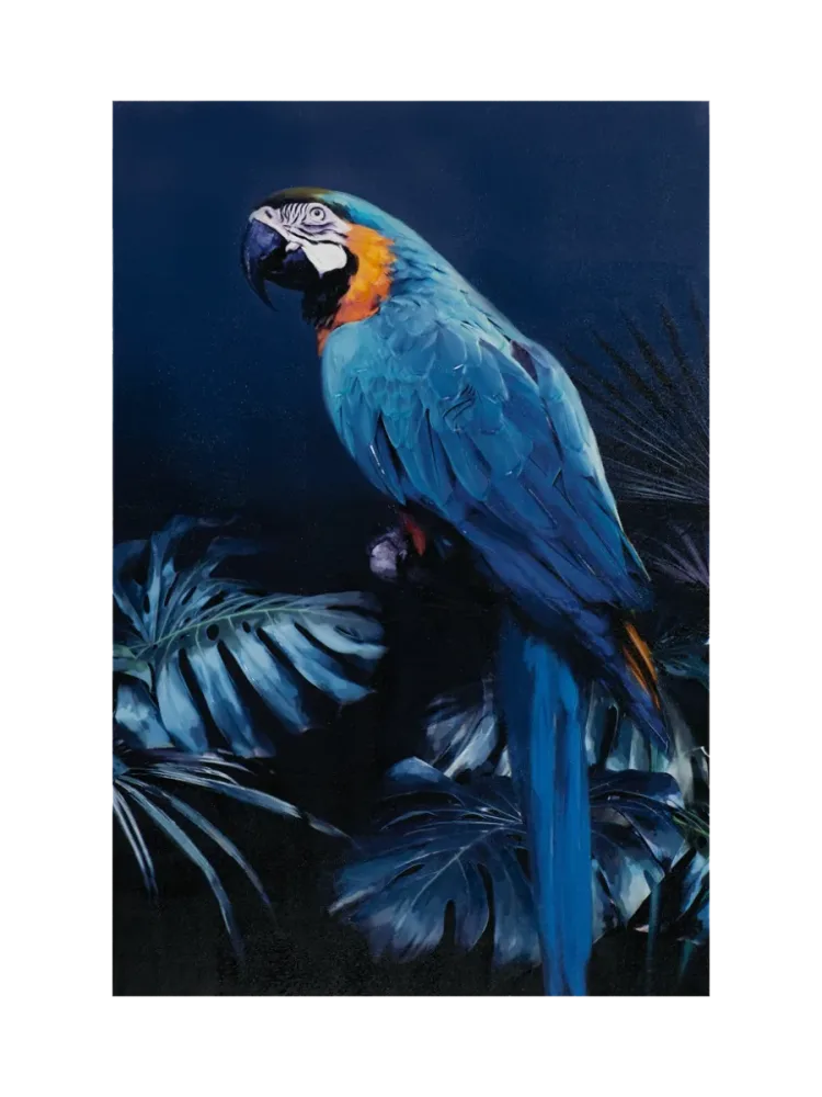 image LAND Gemälde Papagei in Blau Blau | Schubiger Möbel