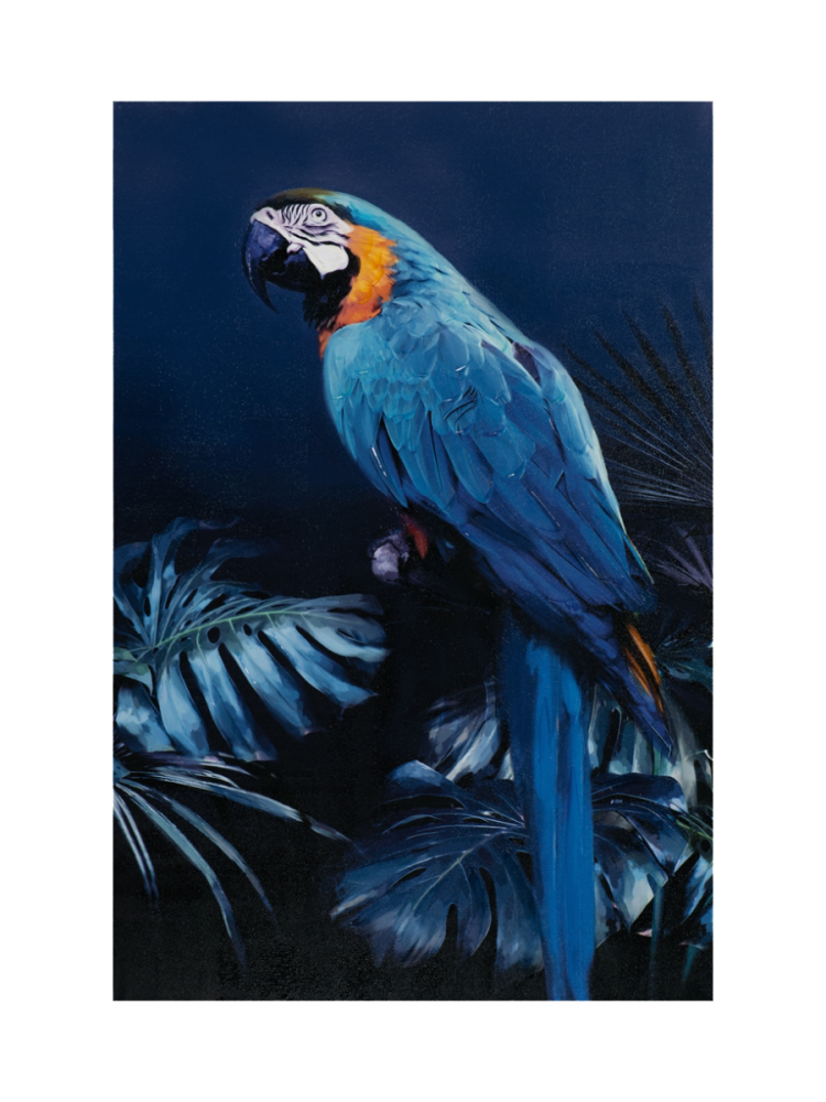 image LAND Gemälde Papagei in Blau Blau | Schubiger Möbel